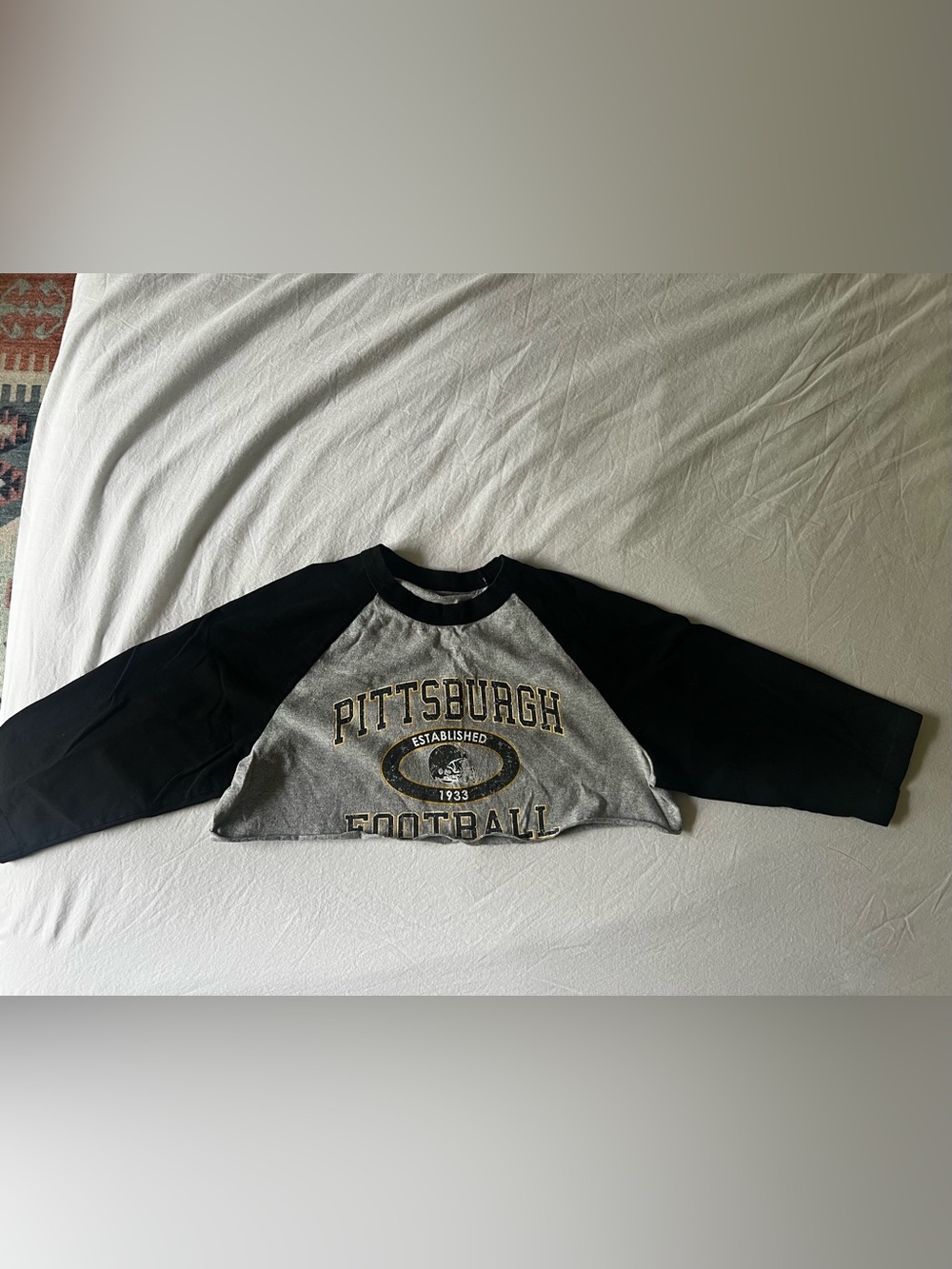Pittsburgh Steelers Football Gray & Black Tee